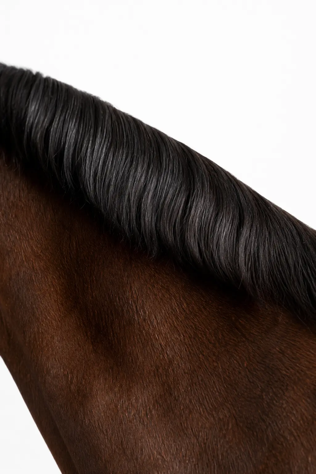 MANE Spray